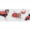 COLETE PARA CÃES