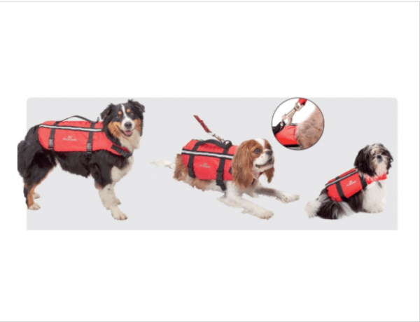 COLETE PARA CÃES